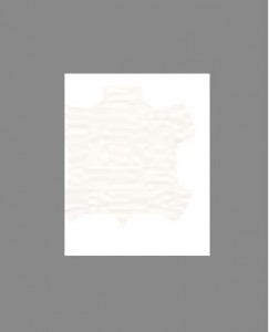 555 White PVC1