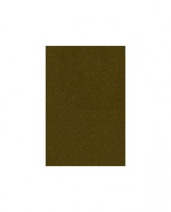 6103 OLIVE