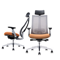 Office Chairs & Training Chairs