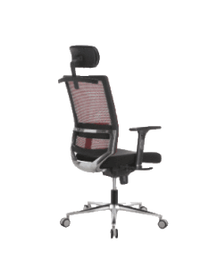 office19