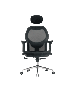 office50