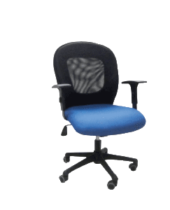 office55